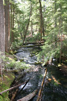 Clear Water 0554